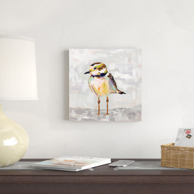 " Coastal Plover II Gray "