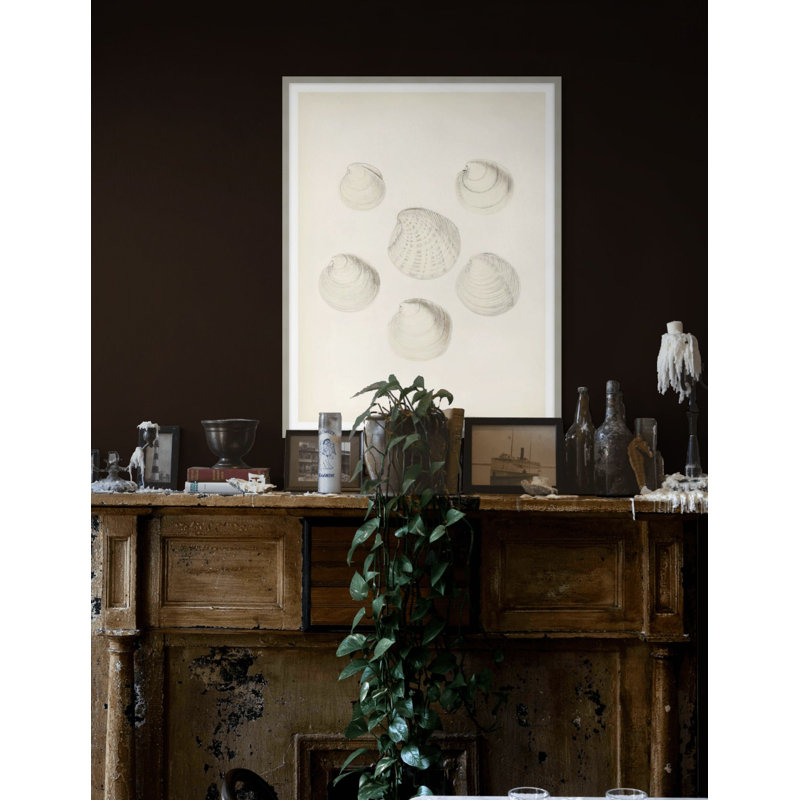 Shore's Treasure 1 Print by Studio L57 Nouvelle, 21.75" H x 17.75" W