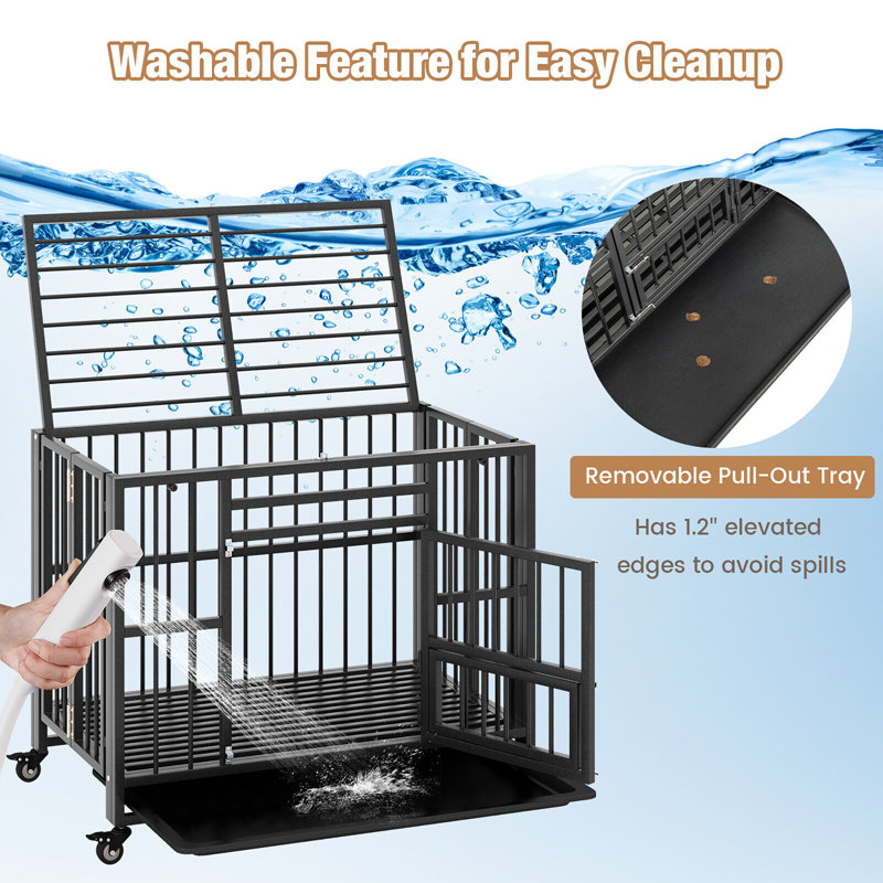 Heavy-Duty Black Metal Foldable Dog Cage with Wheels