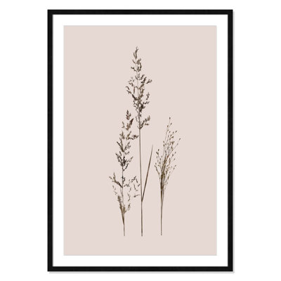 Delicate Stems I by Carol Robinson - Single Picture Frame Print -  Birch Lane™, 67BF55FDF58D4C579C6DA66FEB874962