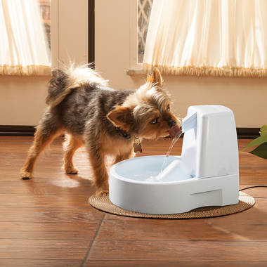 Drinkwell Pet Fountain Mat for the Pet Fountain