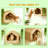 Wall Mounted Cat House