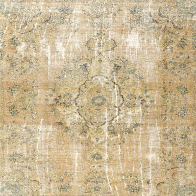 Vorgara Oriental Indoor Rug