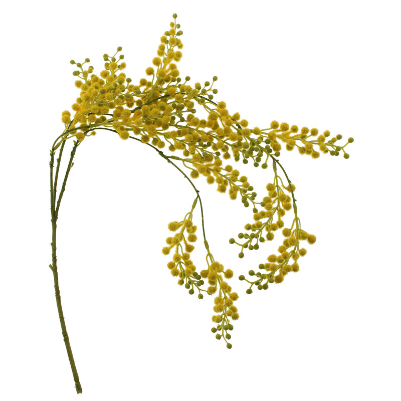 Mimosa Arrangement