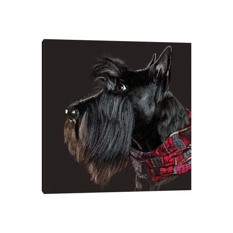 Scottie In Scarf by Vicki Newton - Wrapped Canvas Print