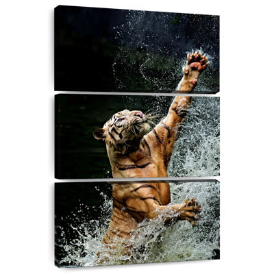 Brampt Tiger's Bath Time