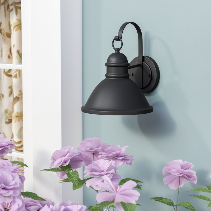 Lanterne murale d'extérieur 1 lumière Meridian