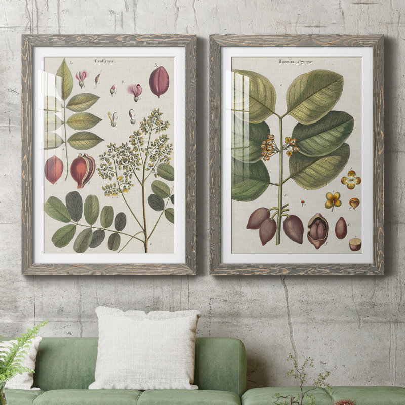 Exotic Botanique I - ensemble de 2 impressions encadrées, H 37,5 po x l 27,5 po x P 1 po, Cadre en papier gris, Blanc