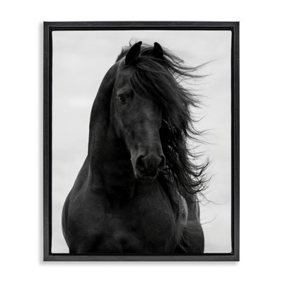 «Black Stallion Horse Portrait», art mural sur toile flottant par Carol