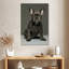 Chiot bouledogue français Brampt-108395260