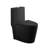One-Piece Toilet, Tornado Flush, Dual Flush, Elongated Bowl With Soft Close Seat, ADA Comfort Height 17", Matte Black-123166004