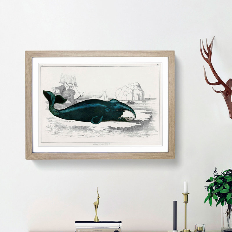Beached Whale by Oliver Goldsmith - Single Picture Frame Painting, 45cm H x 63cm W x 2cm D, Oak Framed