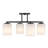 Herron 4-Light Ceiling Light in Matte Black-397403032
