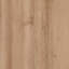 Derron Plastic Wall 4 - Hook Wall Mounted Coat Rack