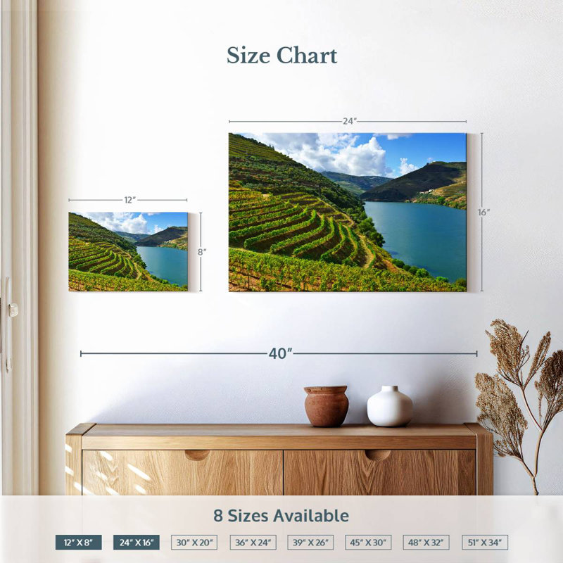 Alvord Douro Grapevine Valley, 16" H x 24" W