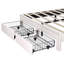 Darlita Upholstered Storage Bed-1546695120