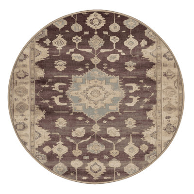 Machine Washable Overdyed Brown Area Rug