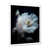 Cadre photo blanc
