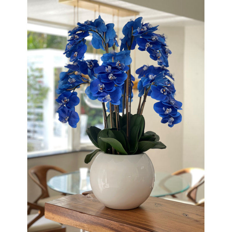 Phalaenopsis Orchid Floral Arrangement in Pot, Blue