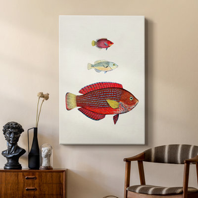 Colourful Tropical Fish II -Custom Wrapped Gallery Cavas