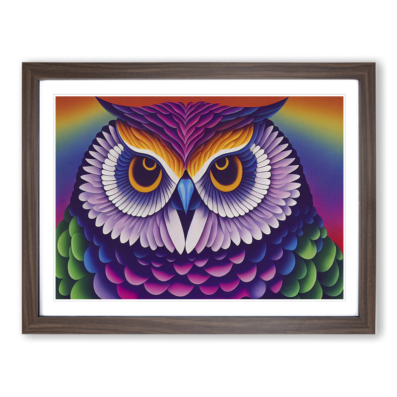 Colourful Owl Vol.4 - Framed Print, Walnut Framed, 25cm H x 34cm W x 2cm D