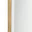 Ismerie Rectangle Brass Beveled Mirror
