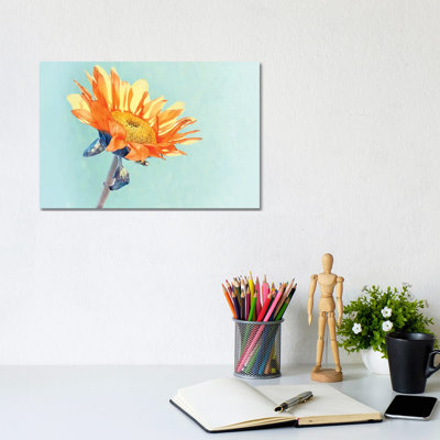 Sunflower by MScottPhotography - Wrapped Canvas Painting