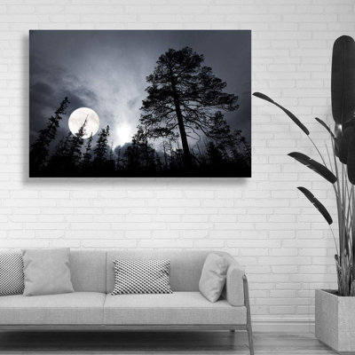 «Moonlight In The Forest» sur