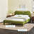Sitarski Modern Curved Upholstered Bed-428286759-428286758