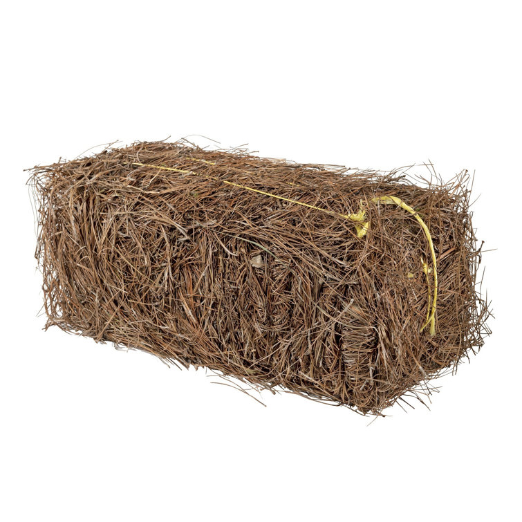 Arlmont & Co. Nyella Long Leaf Pine Straw Bale | Wayfair