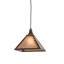 Rustic Lodge 1 - Light Pendant