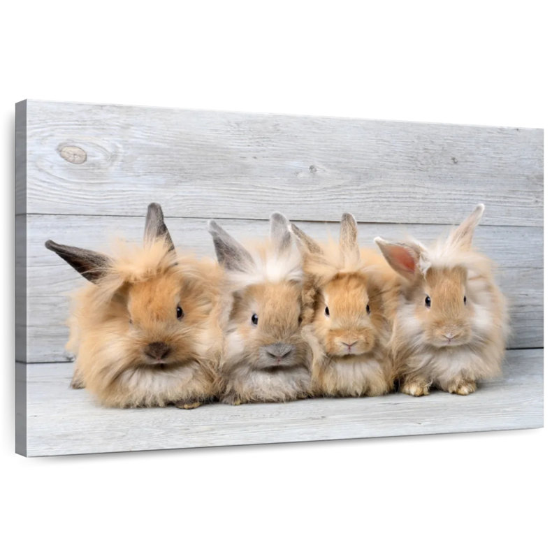 Brampt Fluffy Rabbits, 30" H x 45" W