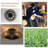 19.6'' Ceiling Fan with Light Kit