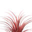 Yucca artificiel en pot-88626081-125320798