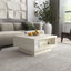 Caomhan Pedestal Coffee Table with Storage-1286931137