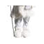 Christmas Figurines & Collectibles