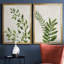 «Botanical Wash I», ensemble de 2 reproductions d'art sur toiles-455244305-455244311-455244299