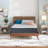 Mykel 14-Inch Luxury Foam Encased Mattress, Pocket Coil Springs for Motion Isolation-1545295205-1567313368-1582405210