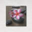 «Zen Pebbles 4» par PhotoINC Studio-704316820
