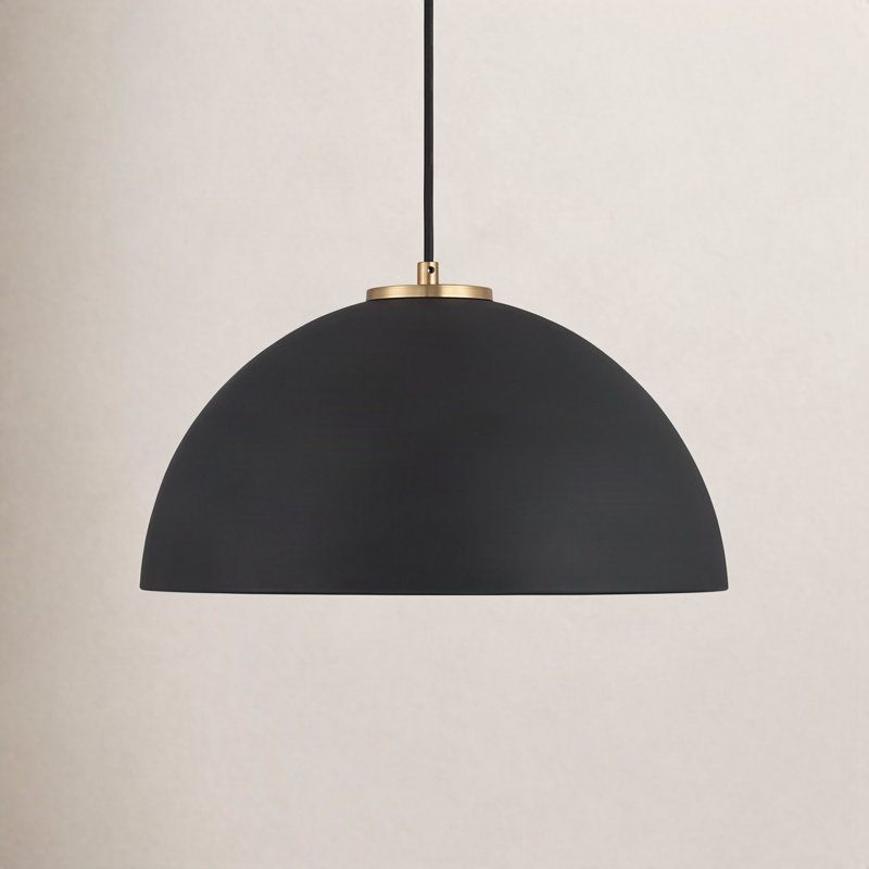 Darrah 1-Light Pendant in Matte Black/Natural Brass, Matte Black/Natural Brass