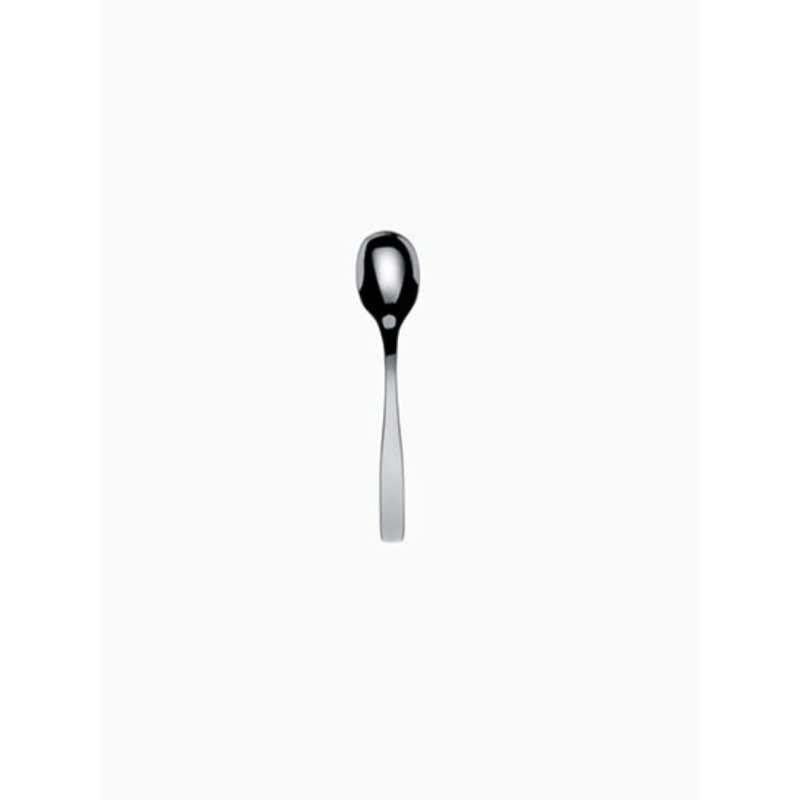 Stainless Steel Teaspoon, Polished