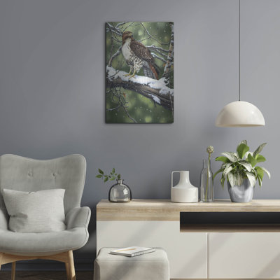 " Red Tailed Hawk " by William Vanderdasson