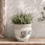 Terracotta Outdoor Cachepot