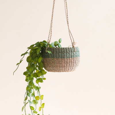 Round Hanging Planter