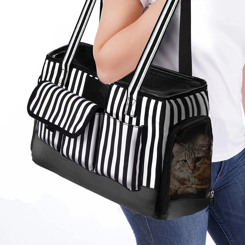 Cage de transport pour animaux
