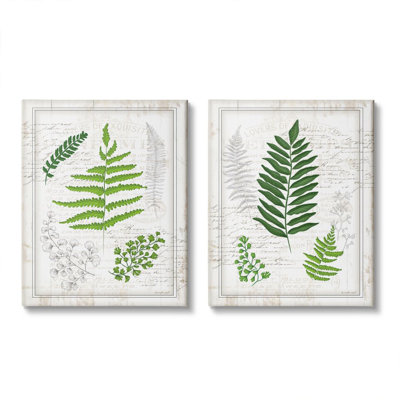 «Antique Fern Study With Script Forest Greenery» par Jennifer Pugh, reproduction d'art graphique sur toile