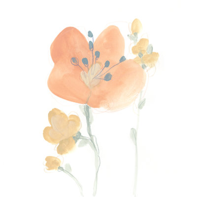 Petite Petals VI by June Erica Vess - Wrapped Canvas Painting
