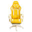 Fauteuil inclinable ergonomique Hoffree-69741798