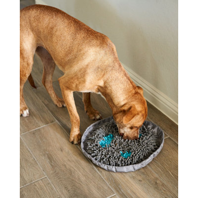 Pet Parents® Forager® Bowl Snuffle Mat & Slow Feeder Bowl