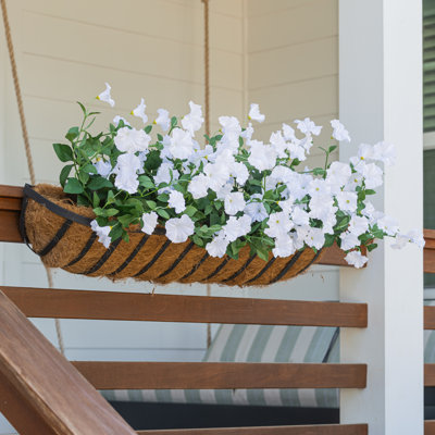 Petunia Window Box Filler